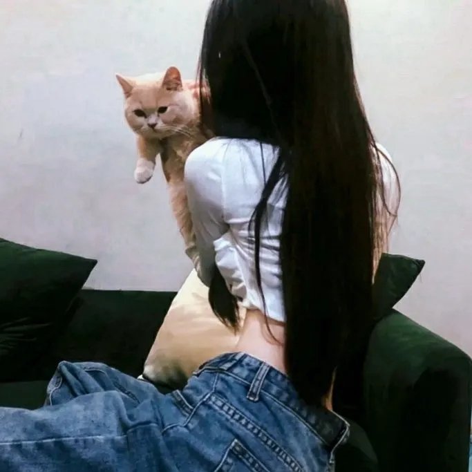 合约情人 海报